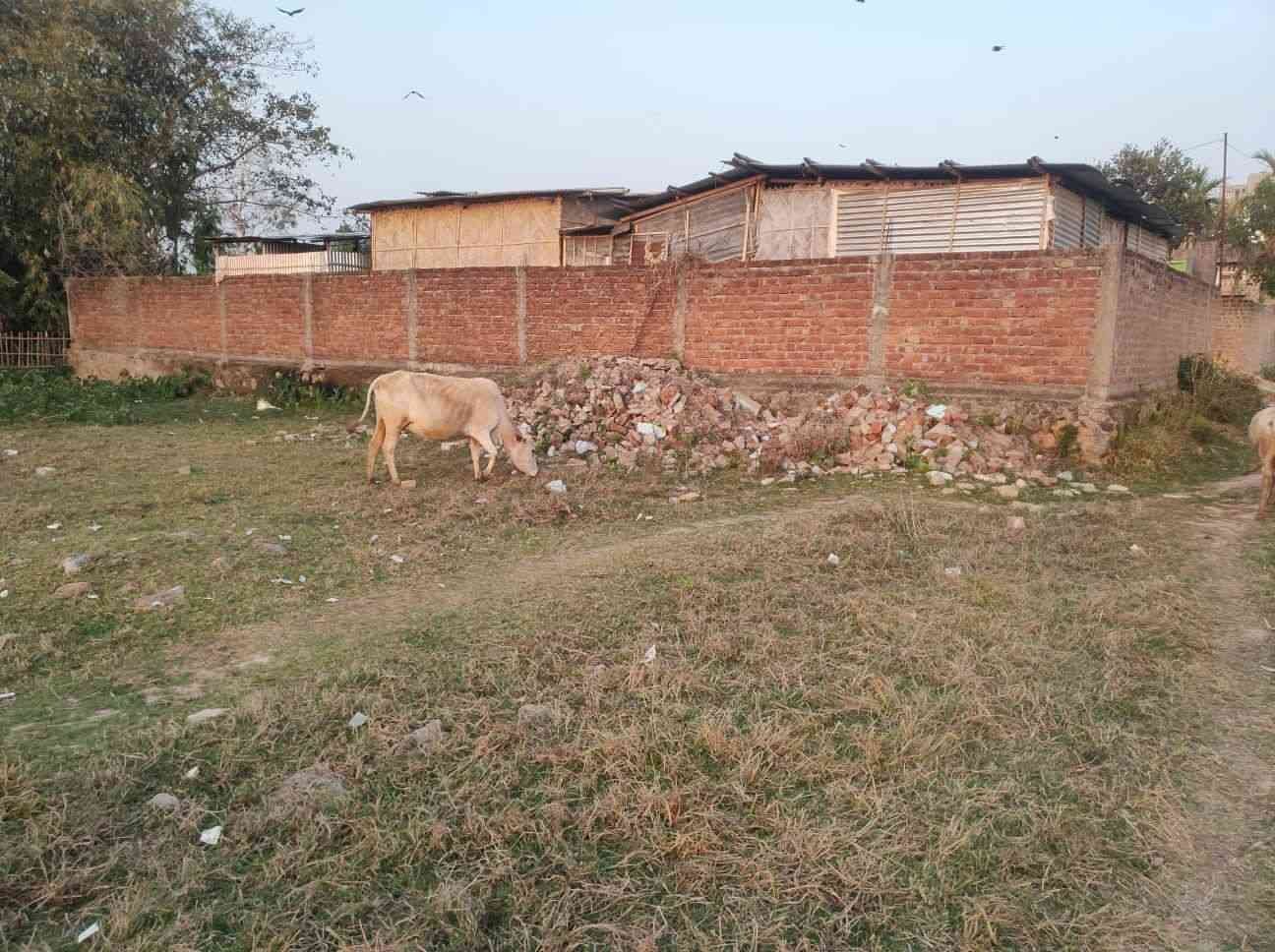 Residential Vacant Land near  Guwahati Narangi