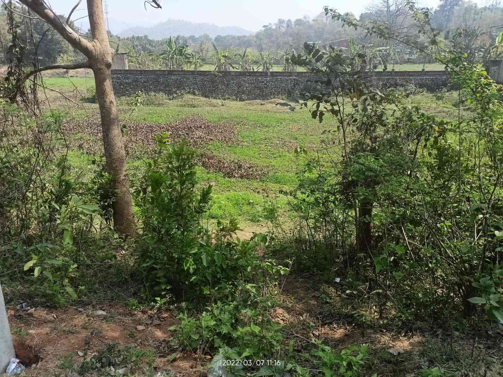 Residential Vacant Land near  Guwahati Narayan Nagar